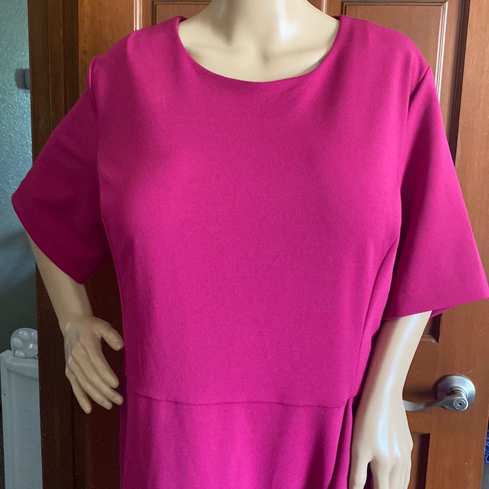 Rachel Roy fuscia Dress size 22W